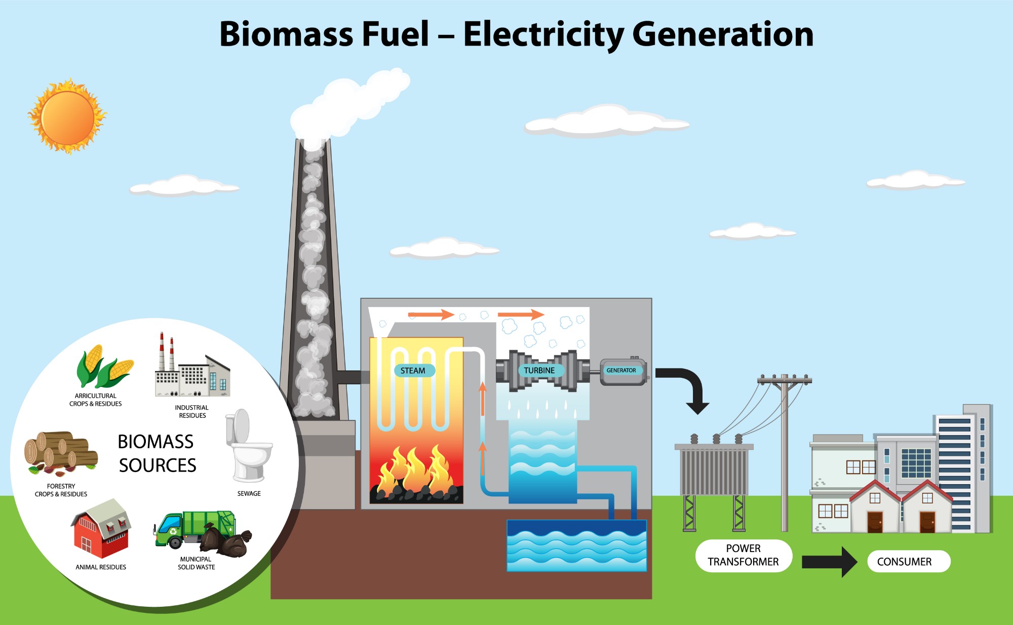 Năng lượng nhiệt điện sinh khối (Biomass)