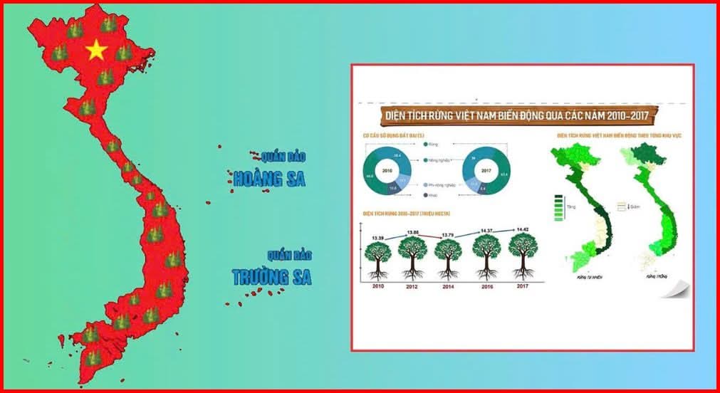 tiềm năng của nhiên liệu sinh khối tại Việt Nam