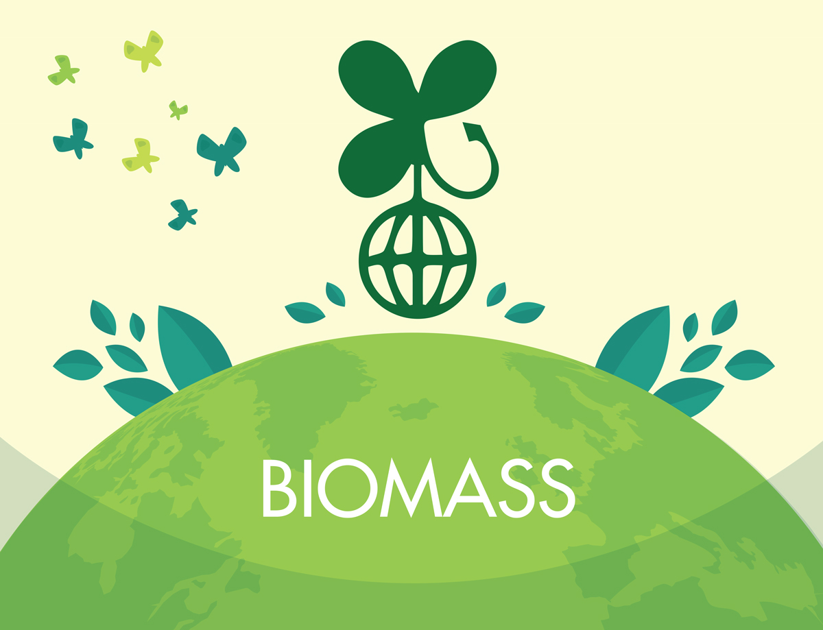 Nhiên liệu Biomass là gì?