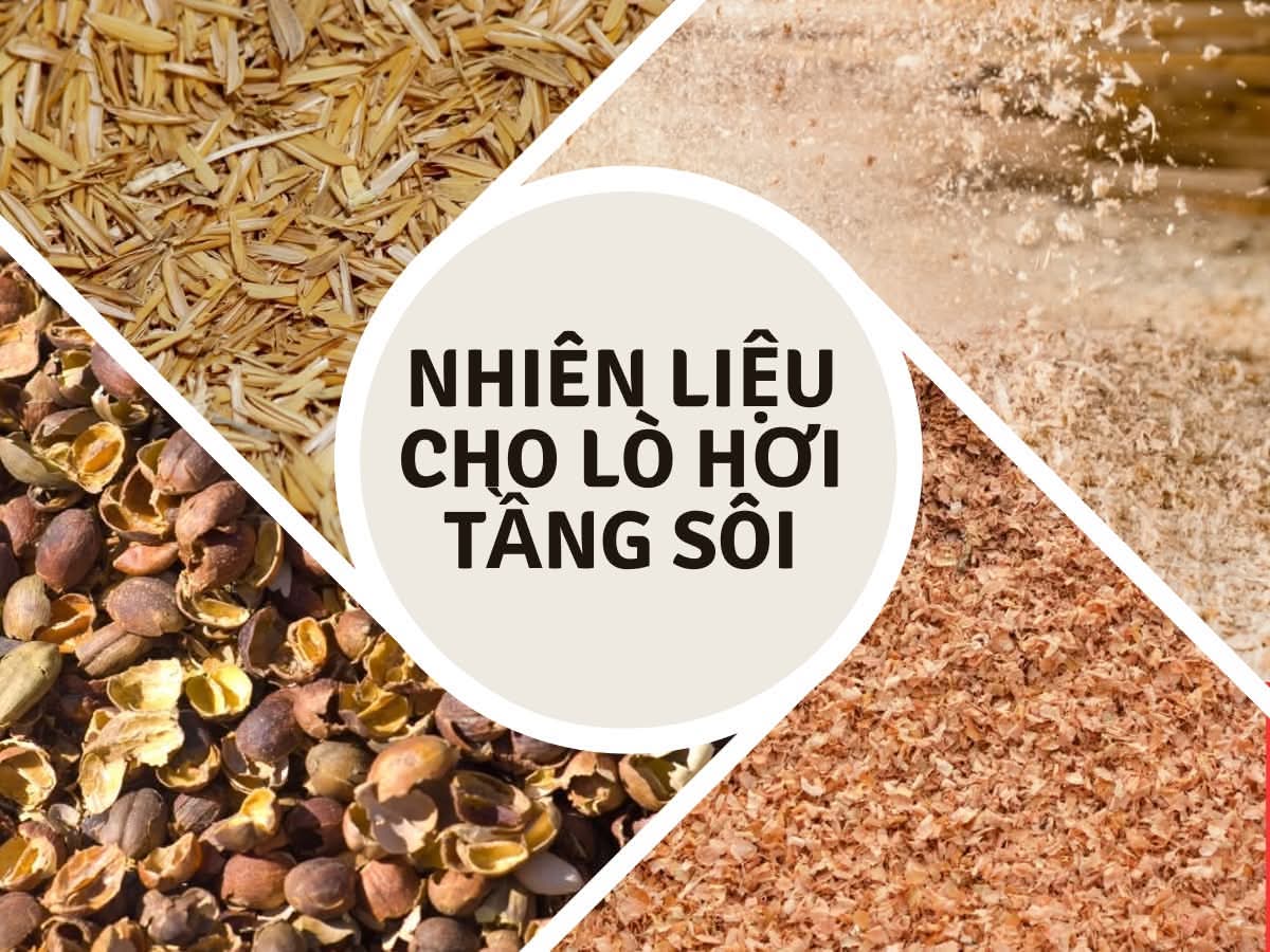 nhiên liệu lò hơi tầng sôi