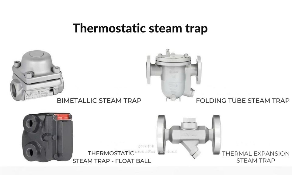 Thermostatic steam traps