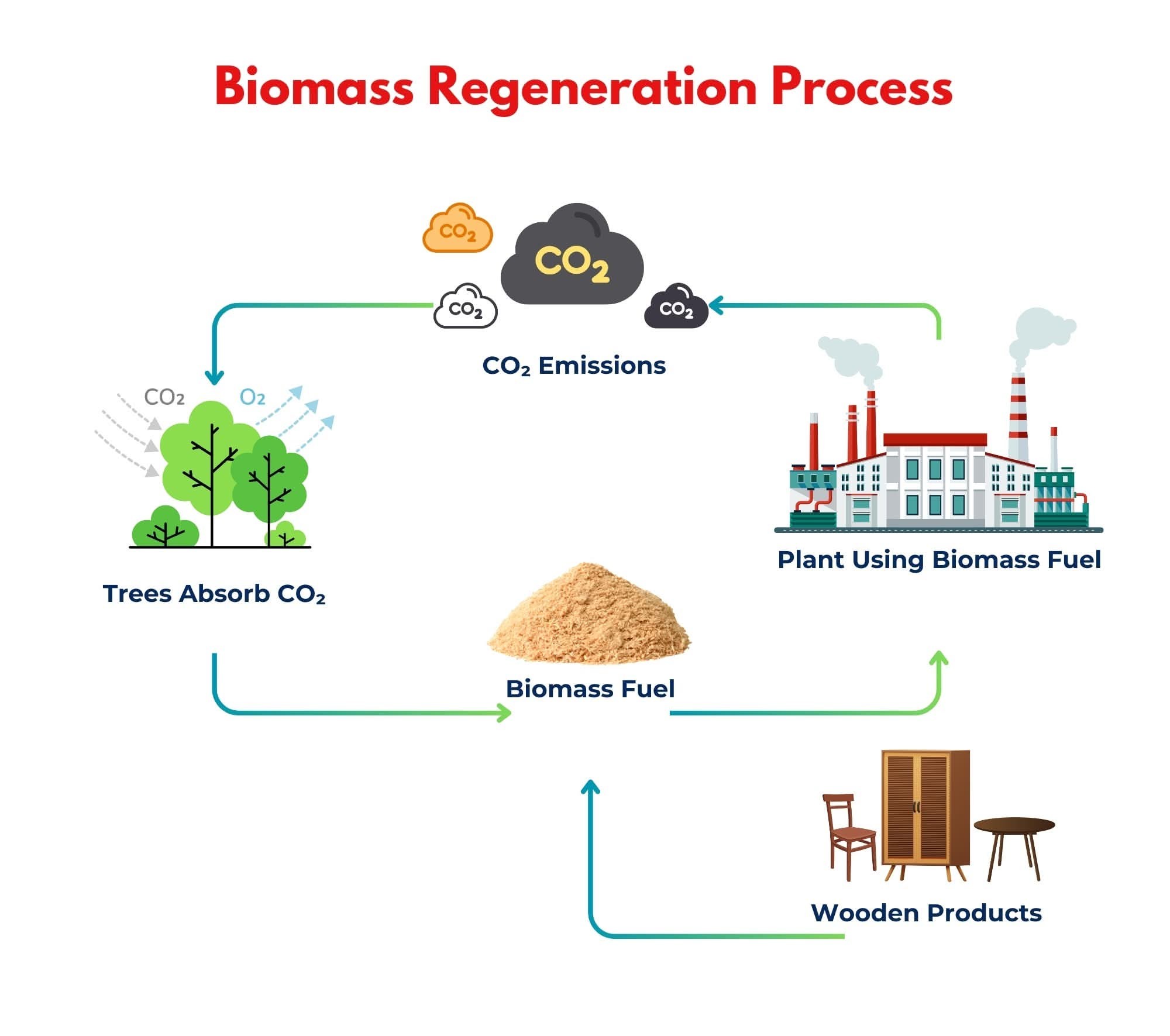 BIOMASS REGENERATION PROCESS – MULTILINGUAL LABELS (2)