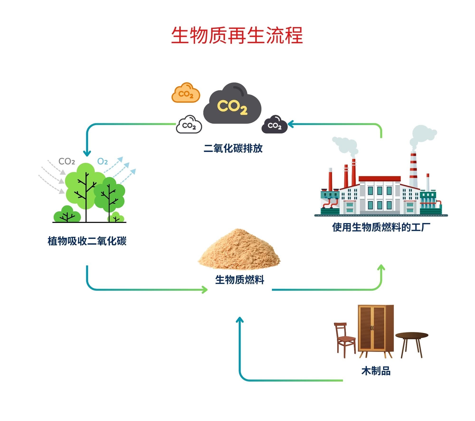生物质再生流程