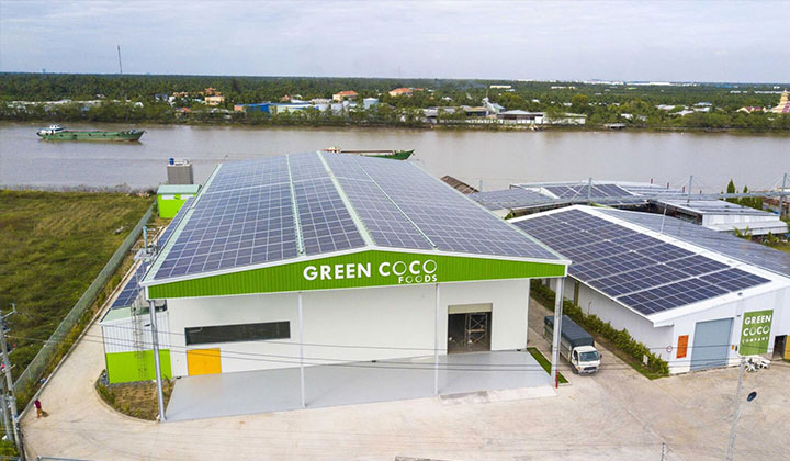 Green Coco